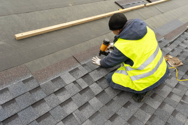 Best Metal Roofing Contractor  in Nashville, AR